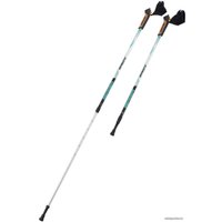 Палки для скандинавской ходьбы Berger Serenity 77-135 (черный/серебристый/мятный)