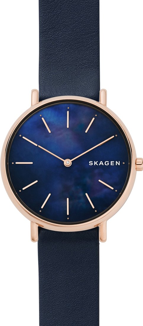 

Наручные часы Skagen SKW2731