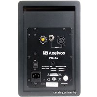 Студийный монитор AxelVox PM-5A