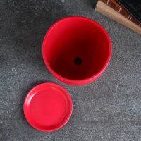 Вазон Sima-Land Колор гейм 9355483