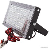 Уличный прожектор Glanzen FAD-0030-10-12V