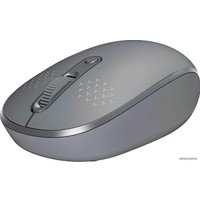 Мышь Ratel E370 (серый)