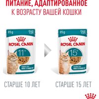 Консервированный корм для кошек Royal Canin Ageing 11+ in Jelly кусочки в желе 12x85 г