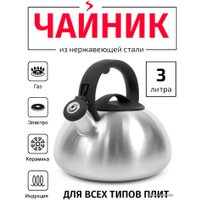 Чайник со свистком TimA WTK059