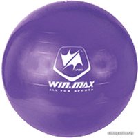 Гимнастический мяч WIN.MAX WMF09648 (фиолетовый)