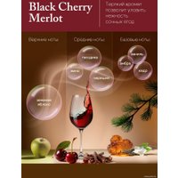 Аромадиффузор Solex Черная вишня (50 мл)