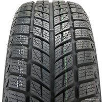 Зимние шины DoubleStar DW09 275/45R20 110H