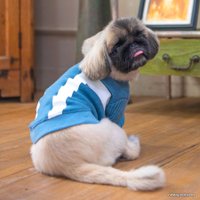 Свитер для животных Puppia Jagger PAUD-TS1841-BL-XL (голубой)