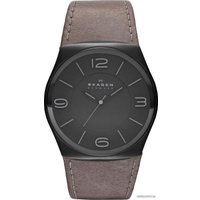 Наручные часы Skagen SKW6041
