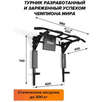 Турник Absolute Champion Центрл Спорт PRO АЧ 11644 (черный/черные ручки и пластина)