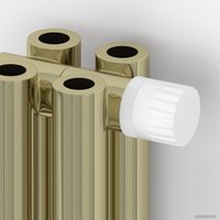 Стальной трубчатый радиатор Сунержа Эстет-00 EU50 500х270 6 секций (шампань)