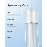 Ирригатор  Fairywill F30 (белый)