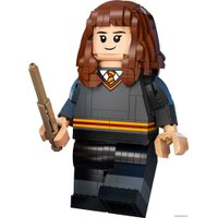 Конструктор LEGO Harry Potter 76393 Гарри Поттер и Гермиона Грейнджер