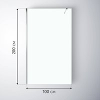Душевая стенка Saniteco Walk-In SN-W6TC100 (100x200, прозрачное стекло, хромированный профиль)