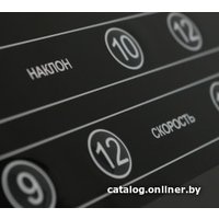 Электрическая беговая дорожка Bronze Gym T1000M Pro Turbo в Витебске