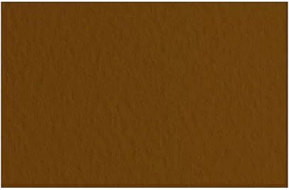 

Бумага для рисования Fabriano Tiziano 21297109 (кофейный)
