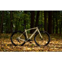 Велосипед Borant Phantom GRX800 M 2022 (бежевый)