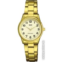 Наручные часы Q&Q Standard C11AJ009