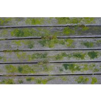 Щетка для электроинструмента Ryobi RAC820 5132004737