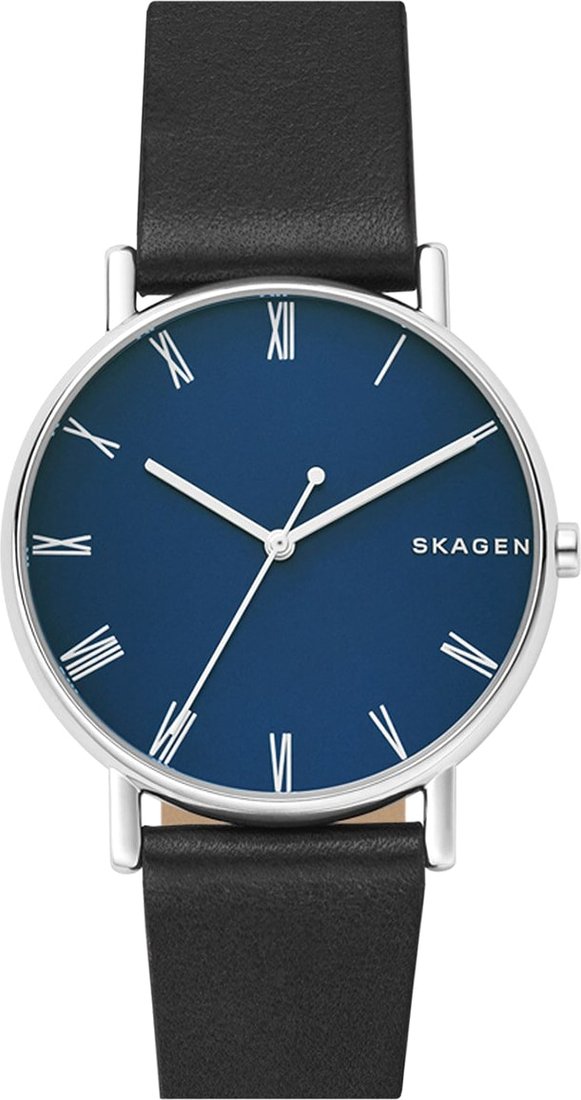 

Наручные часы Skagen SKW6434