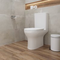 Унитаз напольный Lauter W246 2110246