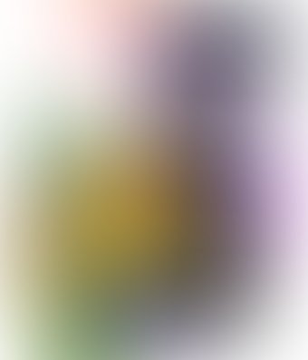 Shunga Exotic Fruits экзотические фрукты 4102 (200 мл)