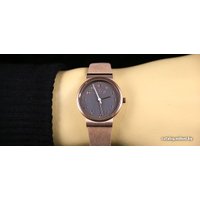 Наручные часы Skagen SKW2189