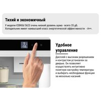 Холодильник Liebherr ICBNSd 5623 Plus BioFresh NoFrost