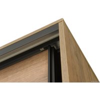 Шкаф-купе Рэйгрупп Bromo VVH 03 РГ-11.03 B 140 VVH 140x220.5 (дуб велингтон/черный)