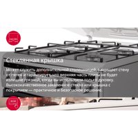 Кухонная плита Hansa FCMX58259