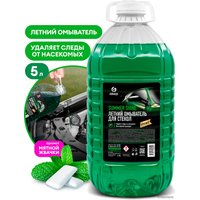 Стеклоомывающая жидкость Grass Summer Shine 110453 5 л