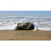 Беспроводная колонка JBL Charge 5 (черный)