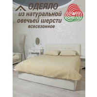 Одеяло Lanatex ОДМ 012 022 (170x205см)