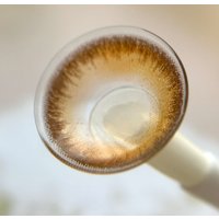 Контактные линзы WDL Color Monthly BC 8.6 honey -4.00