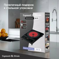Настольная плита Zigmund & Shtain ZIP-571