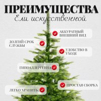 Ель Erbis Swierk Natura 220