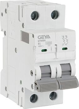 

Выключатель автоматический GEYA GYM9H-2P-1B 2P 1A B 10kA 2M GYM9H2P1B
