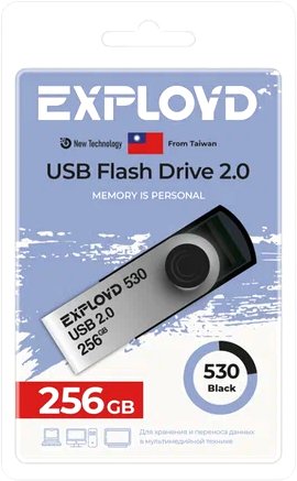 

USB Flash Exployd 530 256GB (черный)