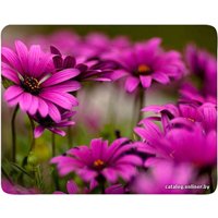 Коврик для мыши Buro BU-M20045