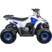 Квадроцикл Yacota Raposa 110 куб.см. (белый)