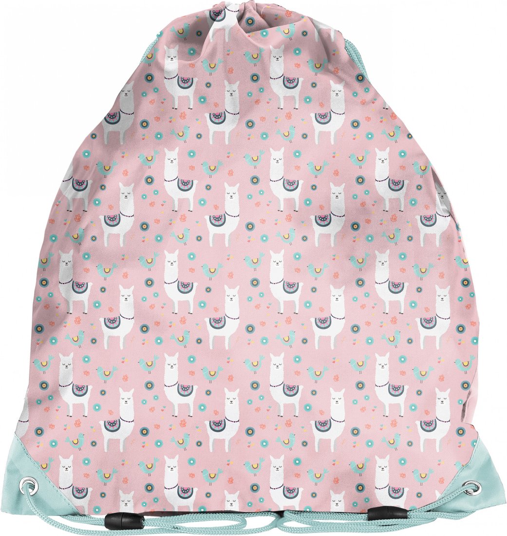 

Мешок для обуви Paso PP22LM-712