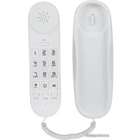 Проводной телефон Sanyo RA-S120W в Пинске