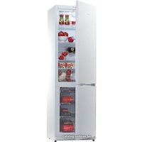 Холодильник Snaige RF36SM-S0002F в Гродно