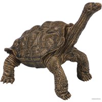 Фигурка Masai Mara Мир диких животных. Черепаха MM218-373