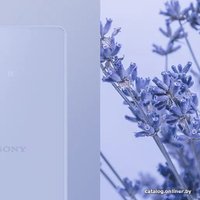 Телефон Sony Xperia 10 V 6GB/128GB (лавандовый)