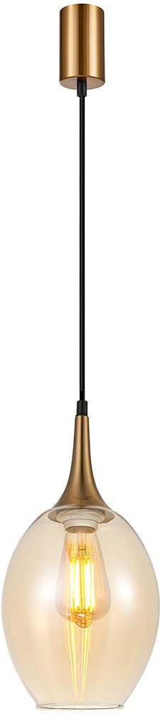 Подвесная люстра F-Promo 4360-1P