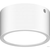 Уличный накладной светильник Lightstar Zolla 380164