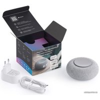 Умная колонка VK Капсула Мини (светло-серый)