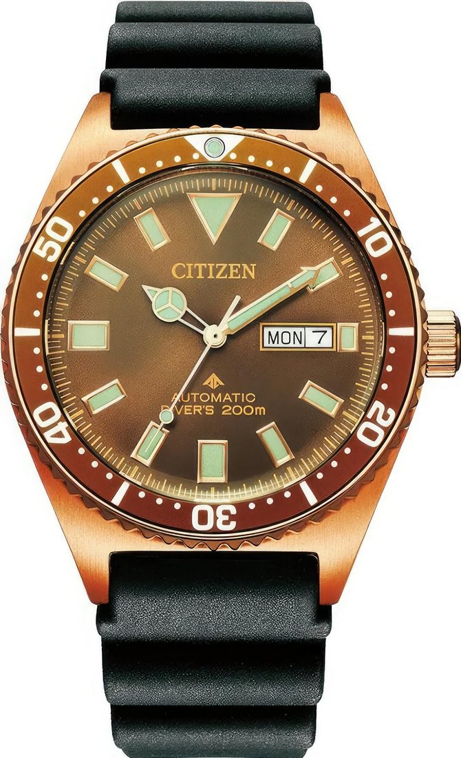 

Наручные часы Citizen Promaster NY0125-08W