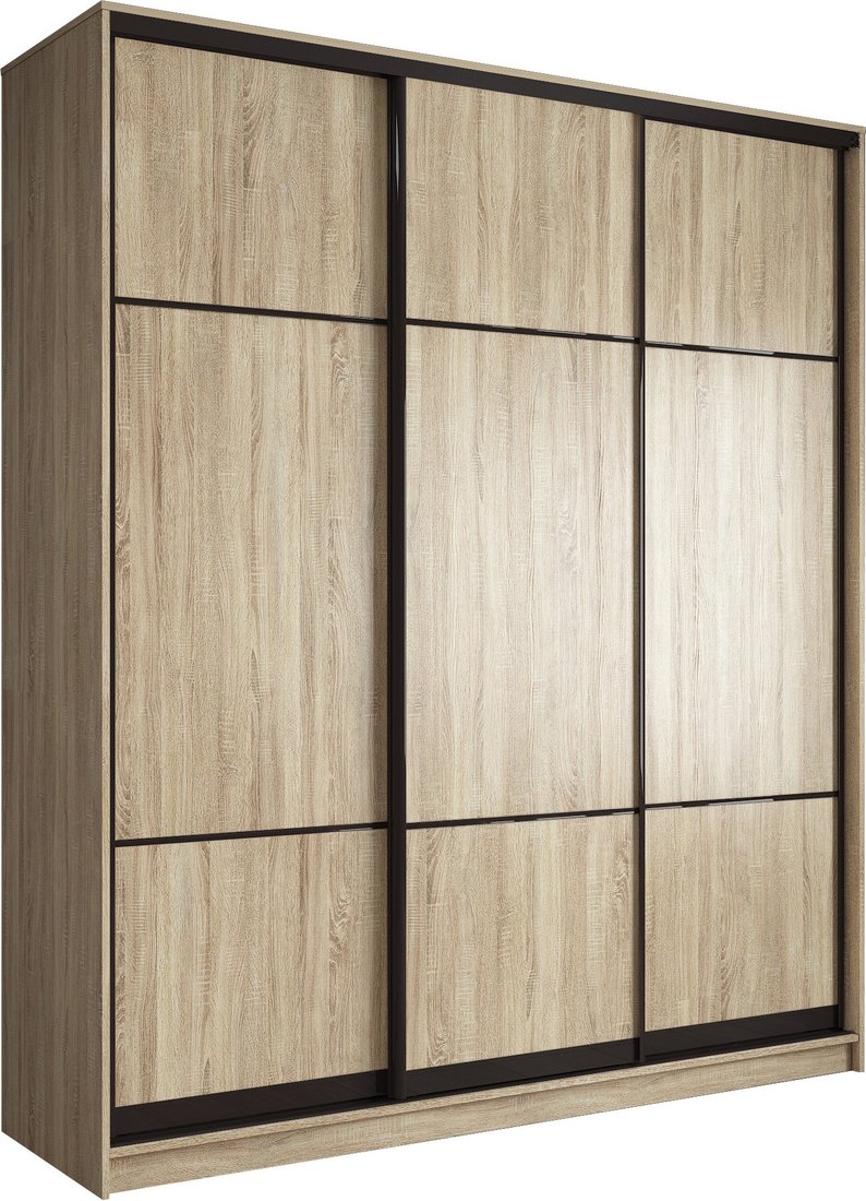 

Шкаф-купе Евва АЭП ШК.3.01 233 SSG.03 (дуб сонома/дуб сонома/венге глянец)